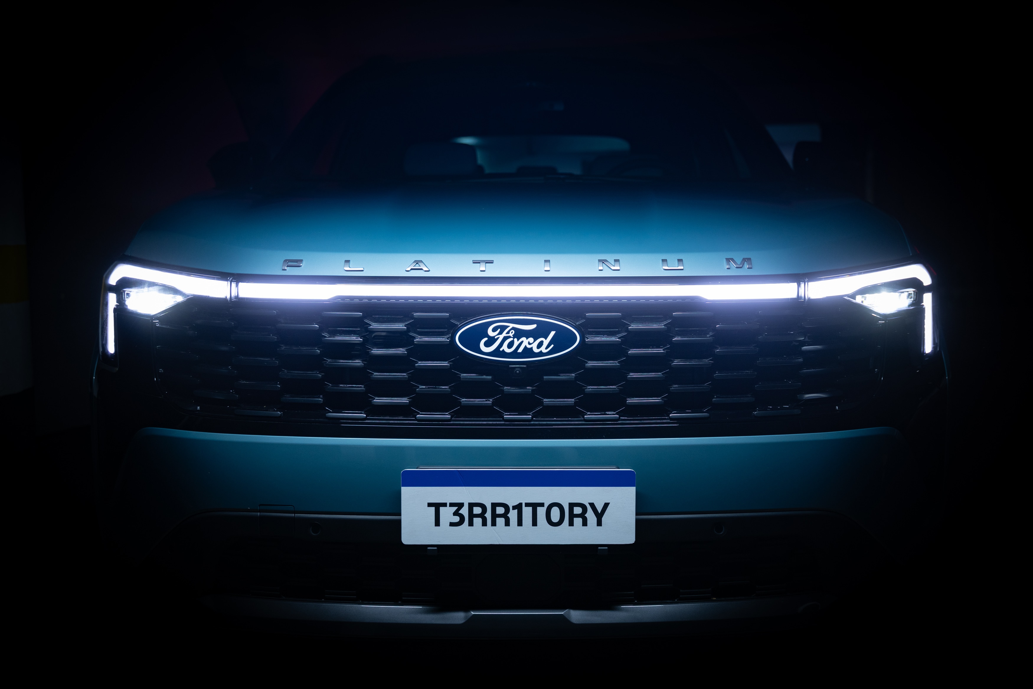 Nueva Territory Platinum